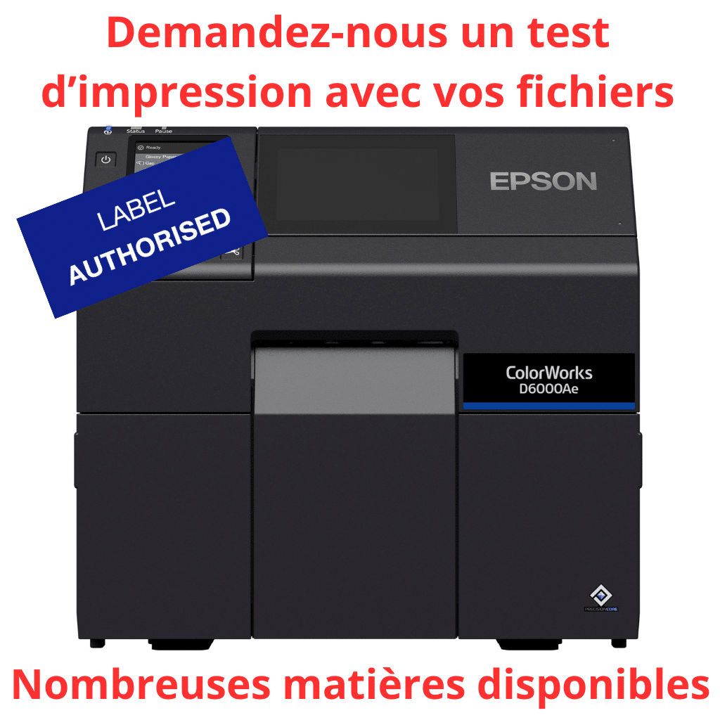 Imprimante Jet d'encre Epson D6000