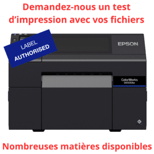 Imprimante Jet d&rsquo;encre Epson D6500