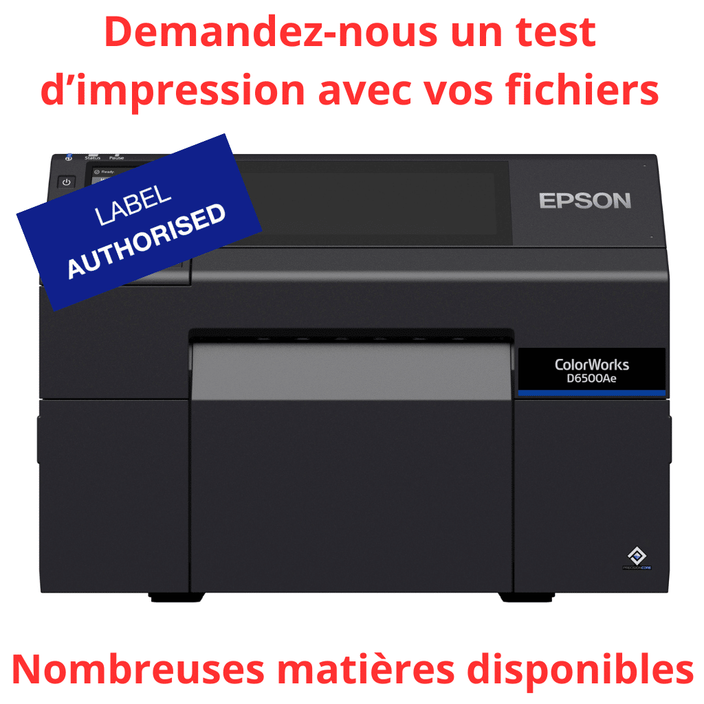 Imprimante Jet d'encre Epson D6500